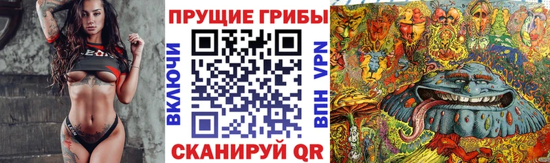 Псилоцибиновые грибы прущие грибы  гидра онион  Кирово-Чепецк 