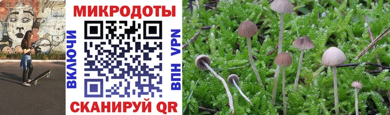 Псилоцибиновые грибы прущие грибы Кирово-Чепецк