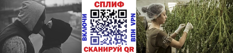 цена   Кирово-Чепецк  Бошки марихуана SATIVA & INDICA 